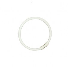 T5 Circline Plus